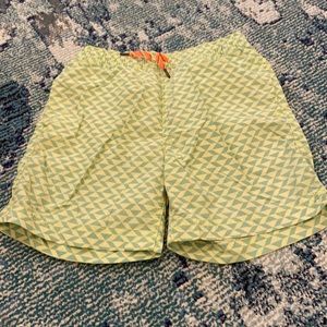 Crewcuts bathing suit 10